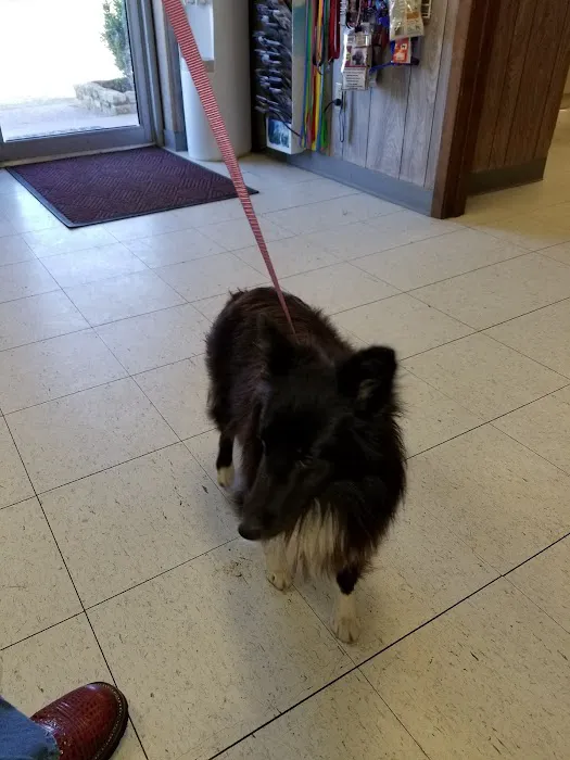 Flatonia Veterinary Clinic Picture 3