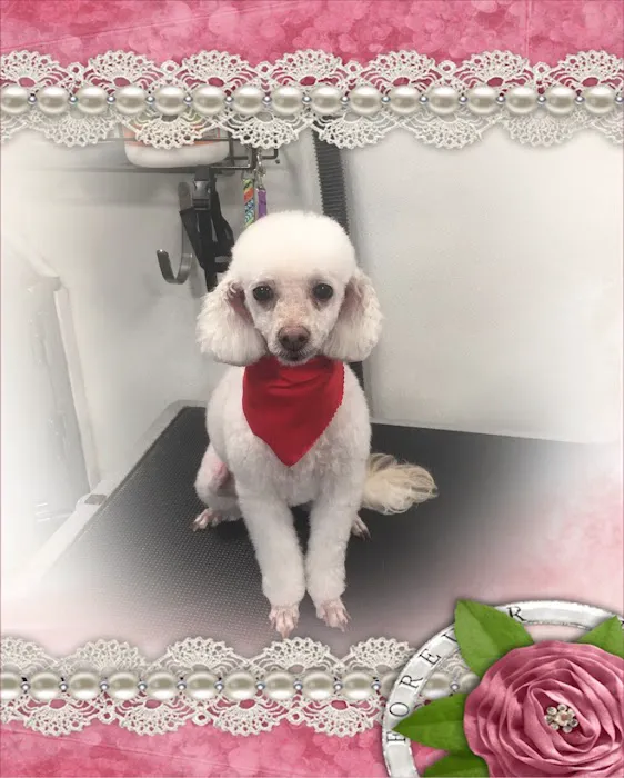 McAda Veterinary Clinic Picture 1