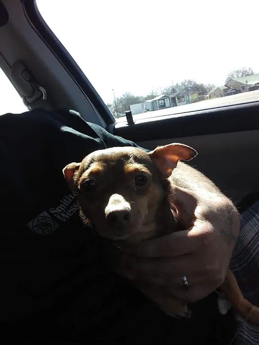McAda Veterinary Clinic Picture 8