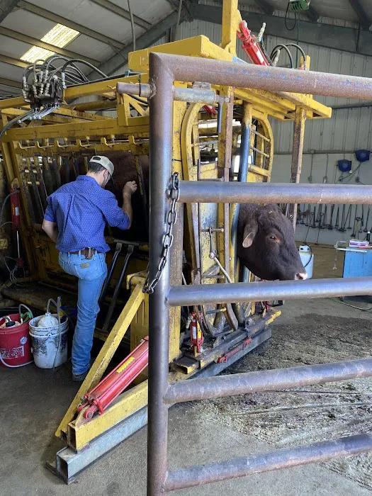 Hallettsville Veterinary Hospital Picture 1
