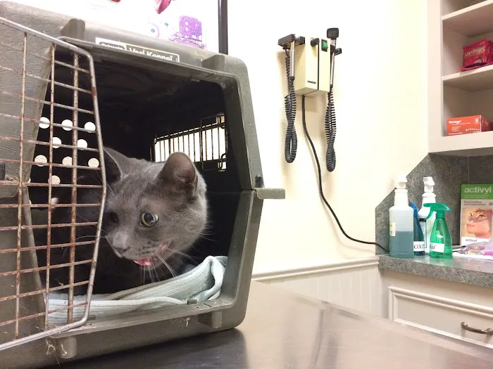 Hallettsville Veterinary Hospital Picture 6