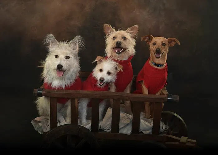Smith Veterinary Hospital Picture 2