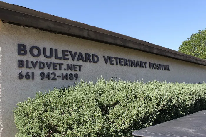 Boulevard Veterinary Hospital Picture 4
