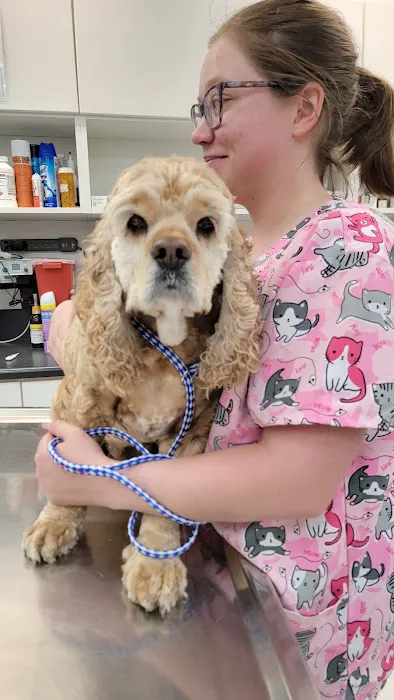 Boulevard Veterinary Hospital Picture 7