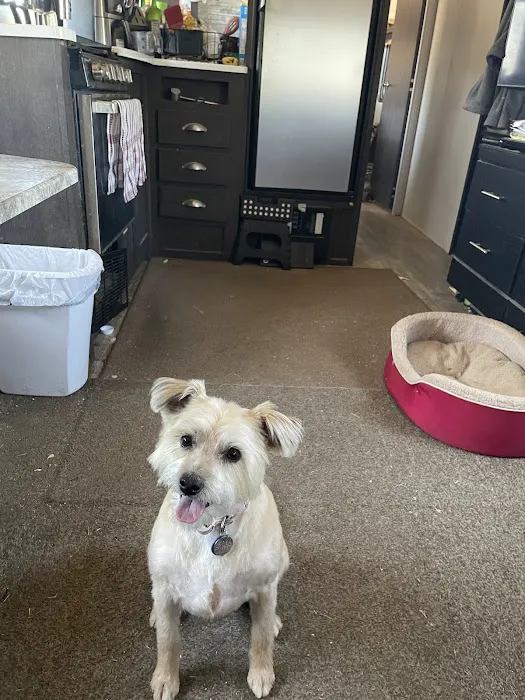Sears Veterinary Hospital Picture 2