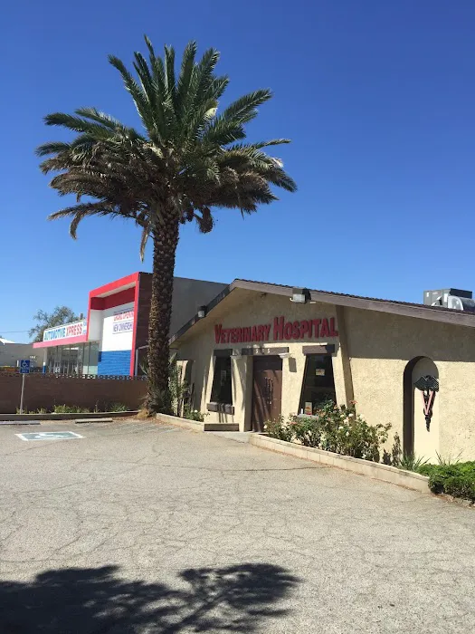 Sears Veterinary Hospital Picture 8