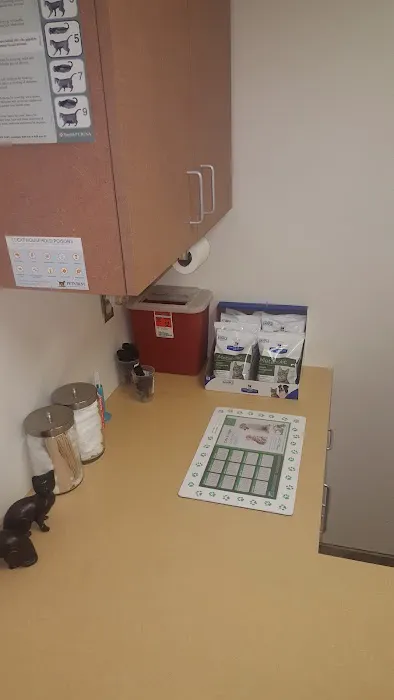 Animal Clinic of the Oaks Picture 4