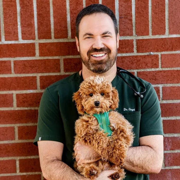 The Pet Hospital of Thousand Oaks Picture 4