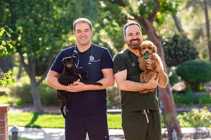 The Pet Hospital of Thousand Oaks Picture 6