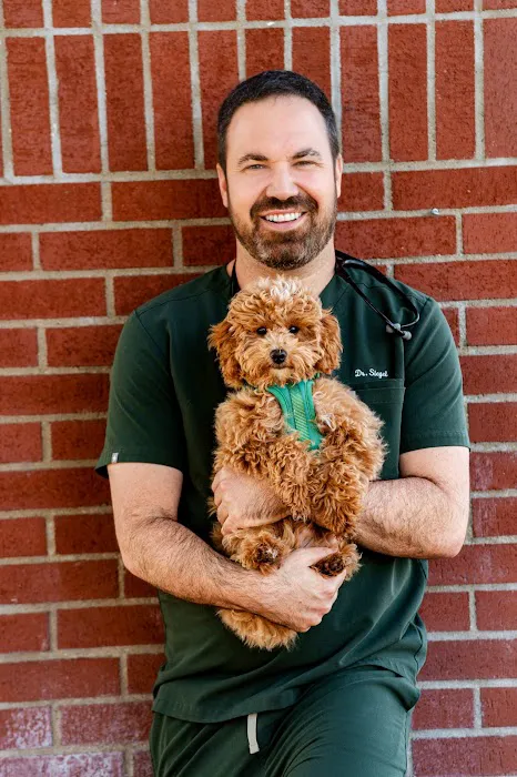 The Pet Hospital of Thousand Oaks Picture 10