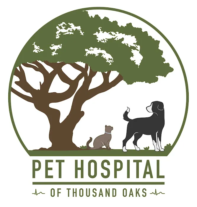 The Pet Hospital of Thousand Oaks Picture 9