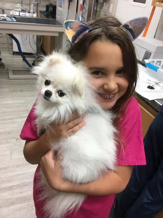 VCA Camino Animal Hospital Picture 6