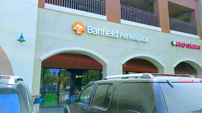 Banfield Pet Hospital Picture 1