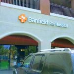 Banfield Pet Hospital