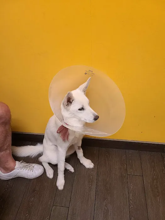 Banfield Pet Hospital Picture 3