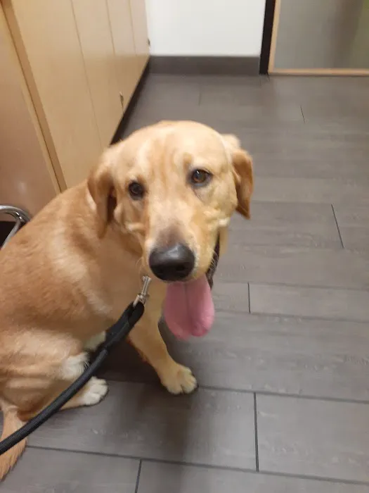 Banfield Pet Hospital Picture 4
