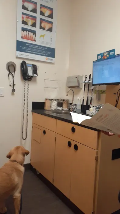 Banfield Pet Hospital Picture 5