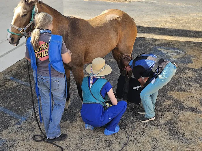 Adobe Veterinary Clinic Picture 9