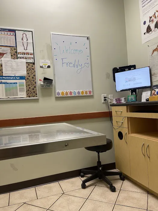 Yucaipa Animal Hospital Picture 4