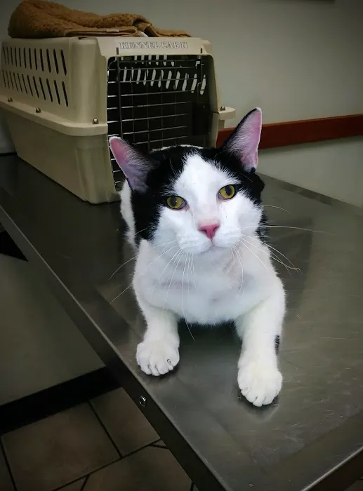 Yucaipa Animal Hospital Picture 5