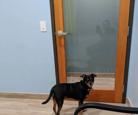 Oak Glen Animal Hospital
