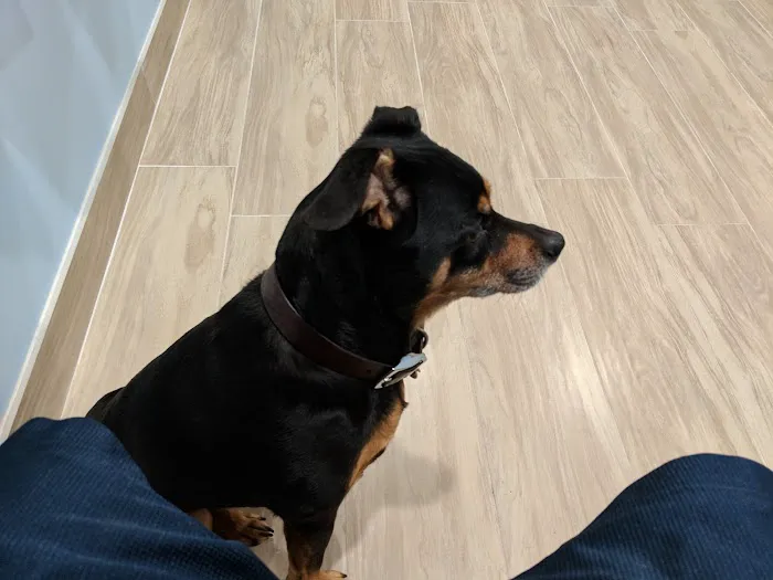 Oak Glen Animal Hospital Picture 3