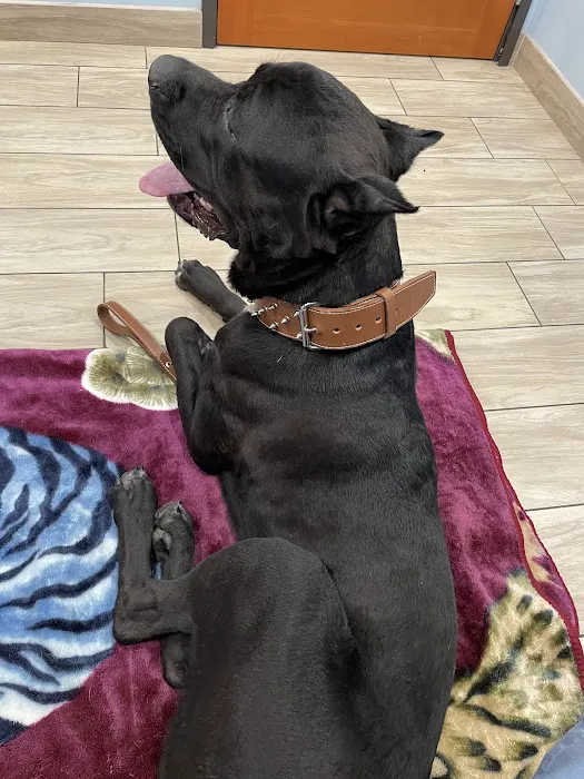 Oak Glen Animal Hospital Picture 4