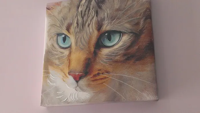 Oak Glen Animal Hospital Picture 10