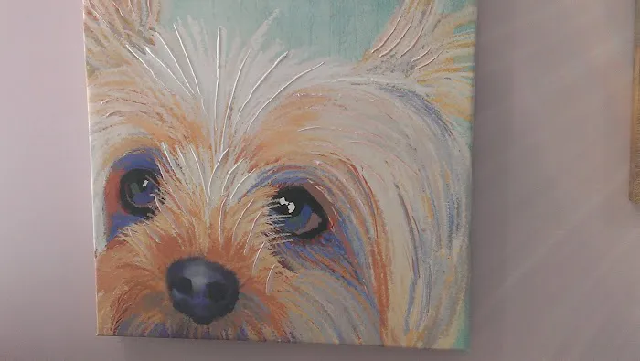 Oak Glen Animal Hospital Picture 9