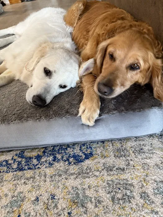 Taylor Animal Hospital Picture 1