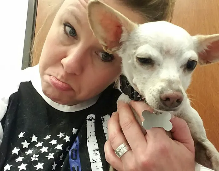 Taylor Animal Hospital Picture 7