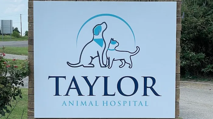 Taylor Animal Hospital Picture 8