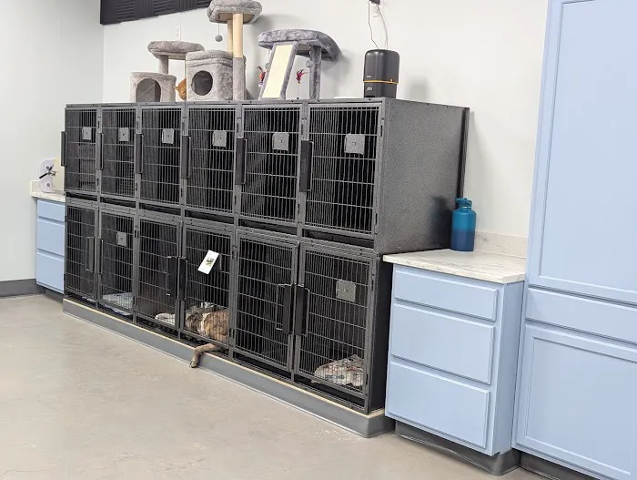 Lonestar Veterinary Services Picture 6