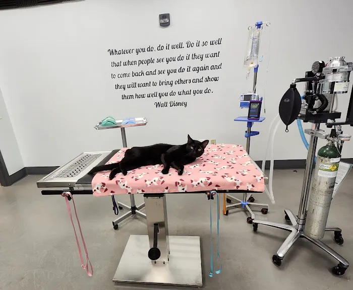 Lonestar Veterinary Services Picture 10