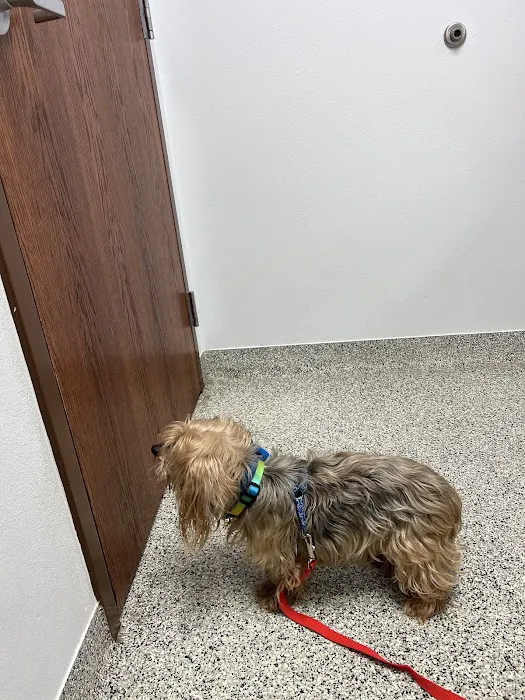 Fort Hood Veterinary Center Picture 1