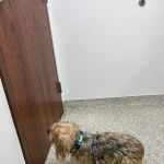 Fort Hood Veterinary Center