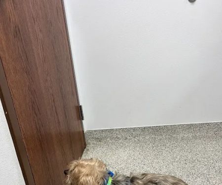 Fort Hood Veterinary Center