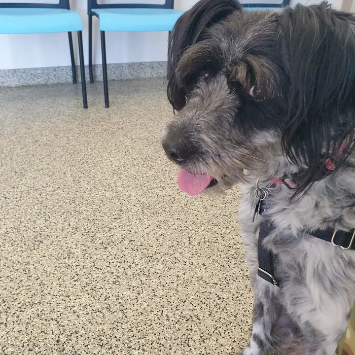 Fort Hood Veterinary Center Picture 8
