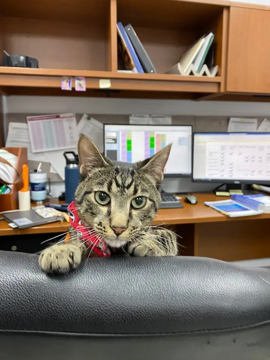 Fort Hood Veterinary Center Picture 10