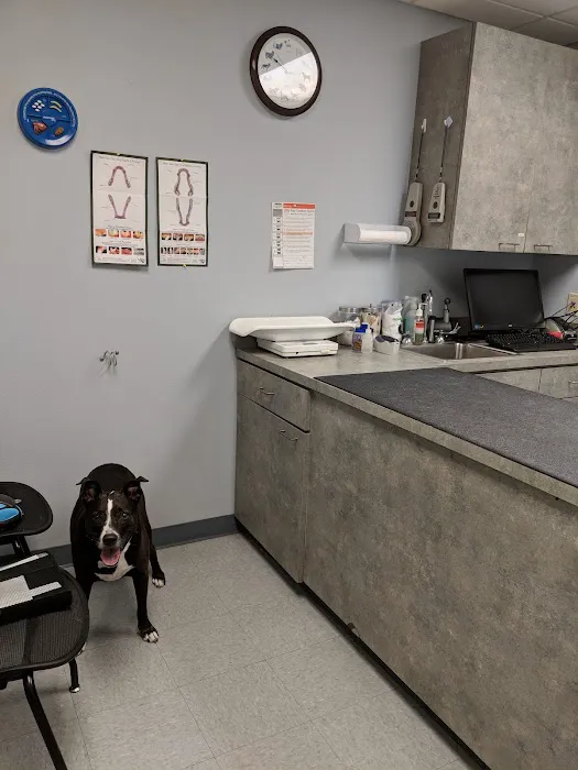 Barksdale AFB Veterinary Clinic Picture 2