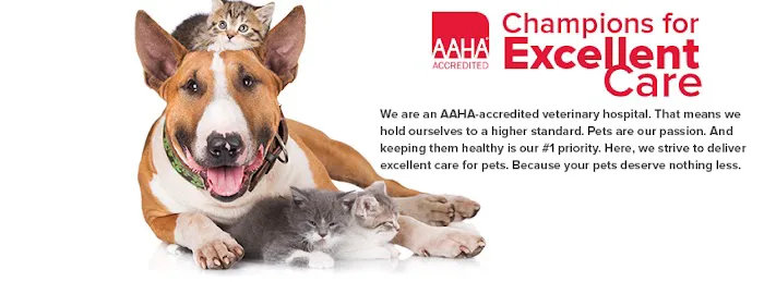 Barksdale AFB Veterinary Clinic Picture 3