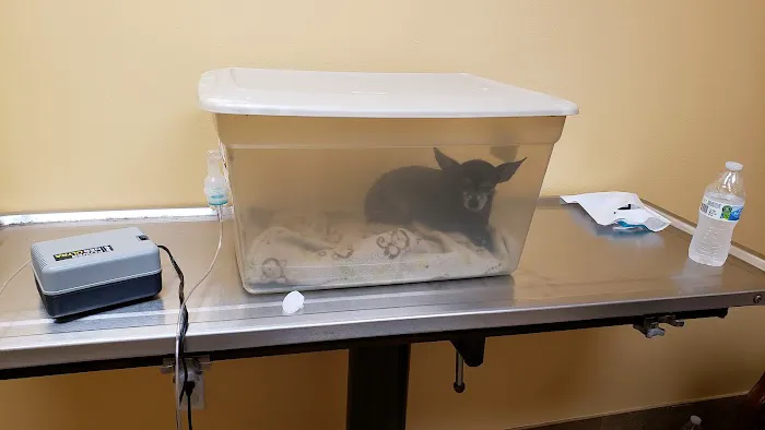 Viking Drive Veterinary Hospital Picture 6