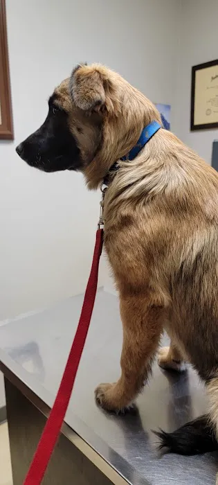 North Louisiana Veterinary Center Picture 2