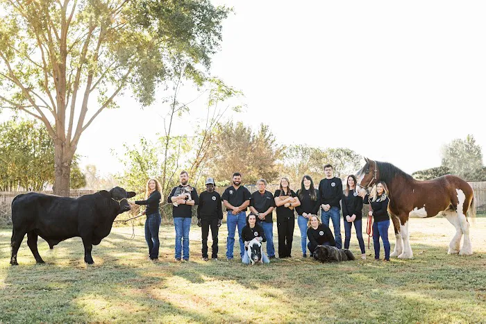 North Louisiana Veterinary Center Picture 9