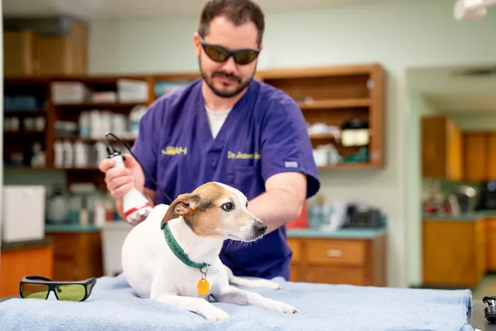 Jimmie Davis Animal Hospital Picture 3