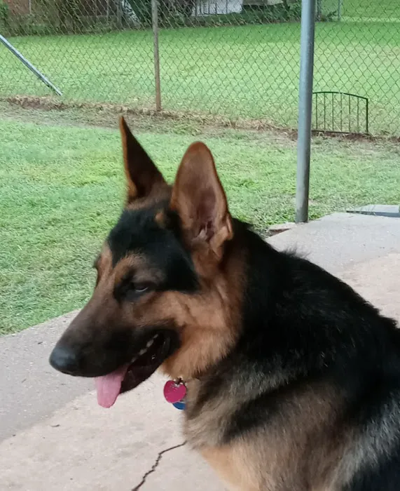 Jimmie Davis Animal Hospital Picture 2
