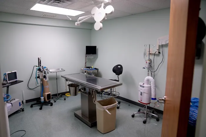 Jimmie Davis Animal Hospital Picture 6