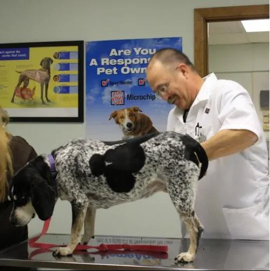 Jimmie Davis Animal Hospital Picture 7
