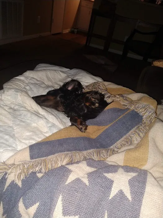 Banfield Pet Hospital Picture 1