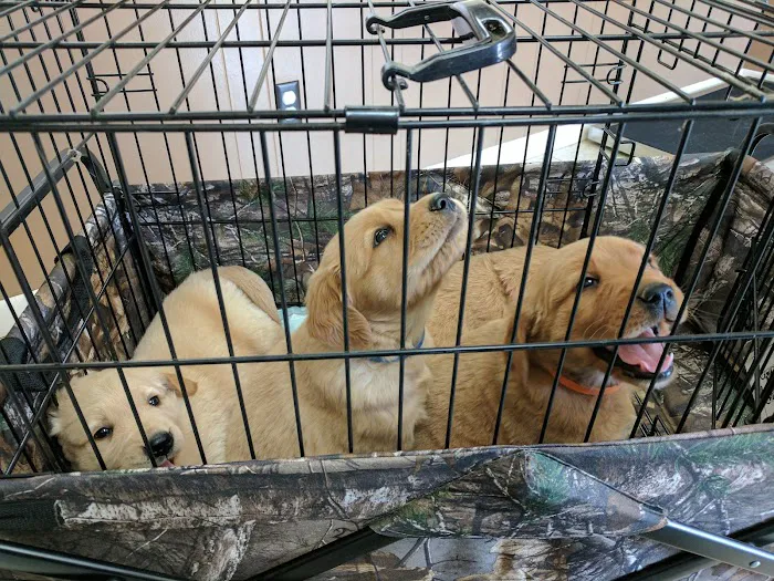 Pearson Animal Hospital Picture 2